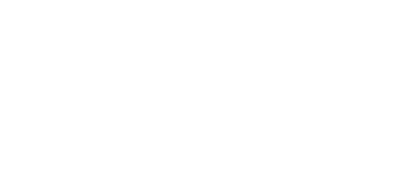 TOTEM CONSULTING